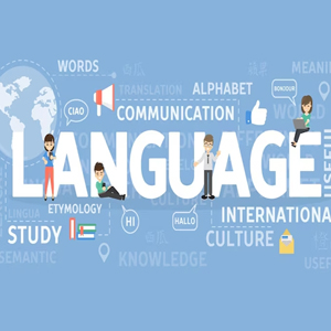 How Polish Language Courses Promote Multilingualism in Higher Education