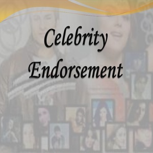 From Celebrity Endorsement to Influencer Engagement