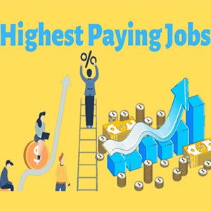 Top Highest Paying Jobs in India 2020