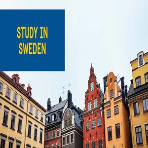 Top Reasons to Choose Sweden for Higher Education