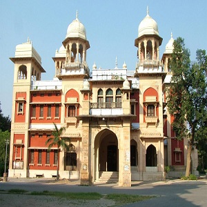 Allahabad University to offer courses in astrology, rituals