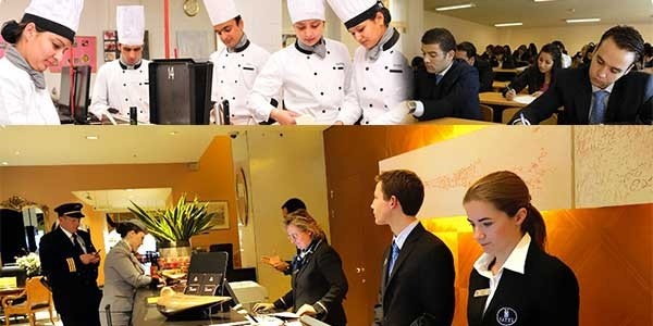 degrees in hotel management and hospitality