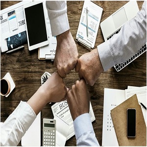 Micromanagement and Other Corporative Diseases