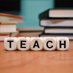 Designing the Ideal Education Sector Business Plan: Identifying Optimal Operational Models