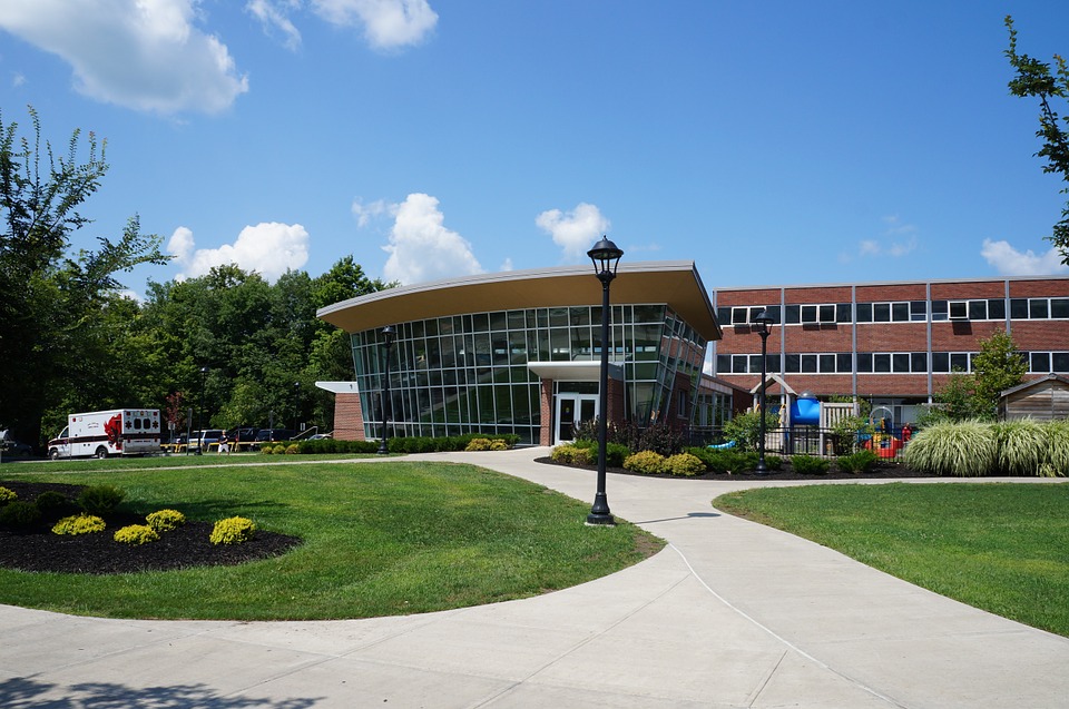 Higher Education Or Self-Improvement â€“ What To Choose For Success