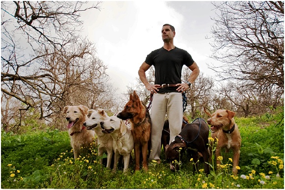 Dogs with A Man