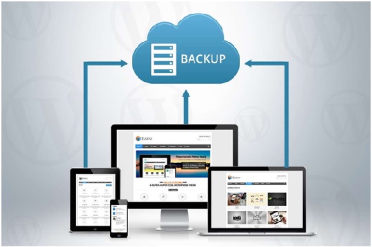 Backup Website Data Regularly