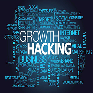 What Does it Take to Become a Growth Hacker