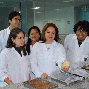 Universidad Nacional Agraria La Molina: Leading The Way In Peru's Agricultural Innovation 